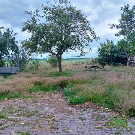 Logeerruimte In Gerenoveerde Boerderij In Wachtum Apartment Екстериор снимка