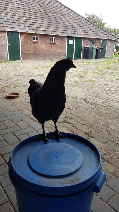Logeerruimte In Gerenoveerde Boerderij In Wachtum Apartment Екстериор снимка