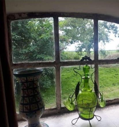 Logeerruimte In Gerenoveerde Boerderij In Wachtum Apartment Екстериор снимка