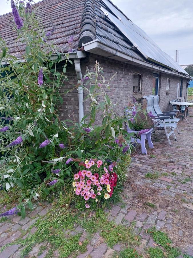 Logeerruimte In Gerenoveerde Boerderij In Wachtum Apartment Екстериор снимка