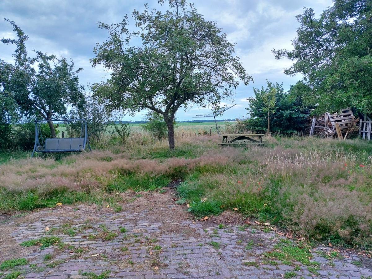 Logeerruimte In Gerenoveerde Boerderij In Wachtum Apartment Екстериор снимка