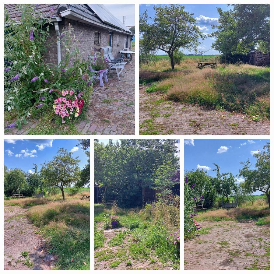 Logeerruimte In Gerenoveerde Boerderij In Wachtum Apartment Екстериор снимка