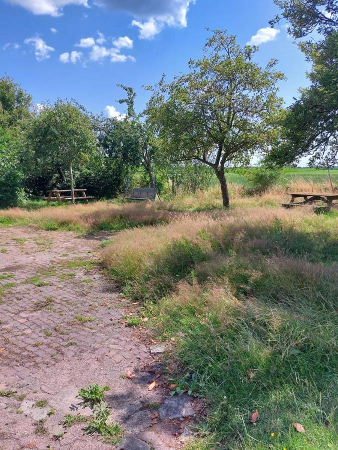 Logeerruimte In Gerenoveerde Boerderij In Wachtum Apartment Екстериор снимка